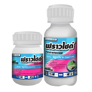 ฟราวไซด์