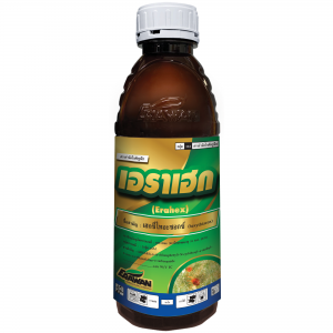 เอราเฮก