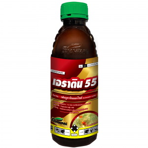 เอราติน 55