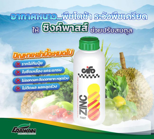Zinc-adjusts-plant-balance-so-01