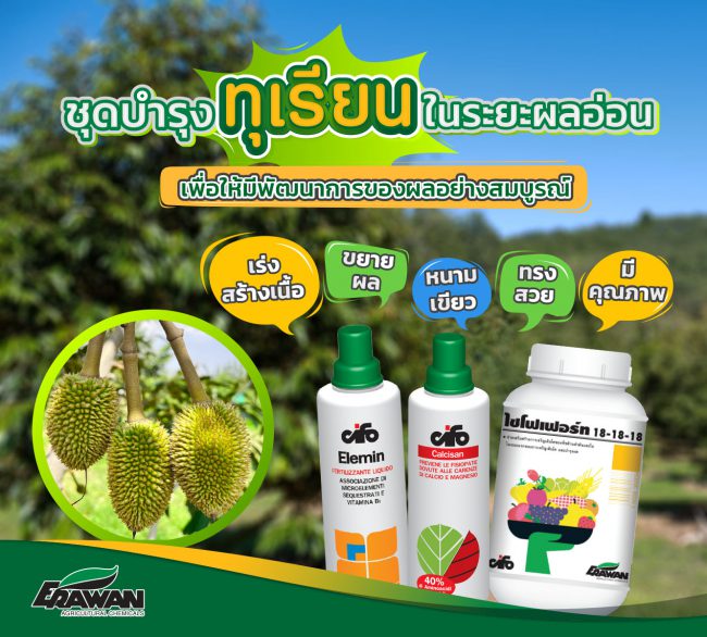 Durian-care-set-so-01
