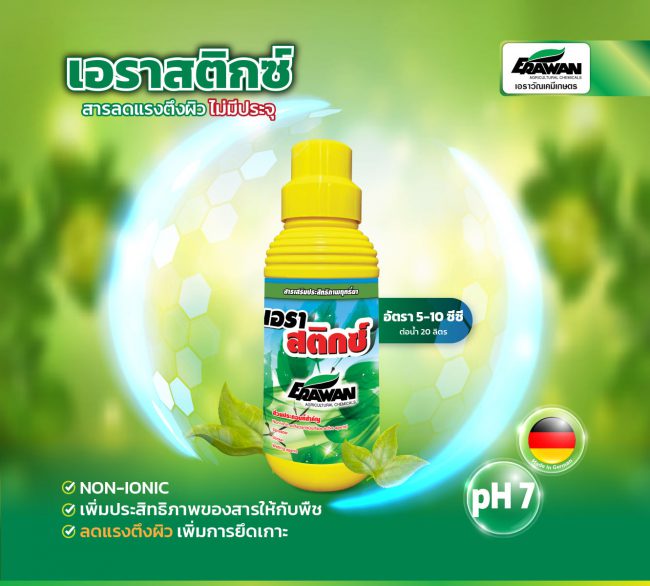 erastix-Line-01