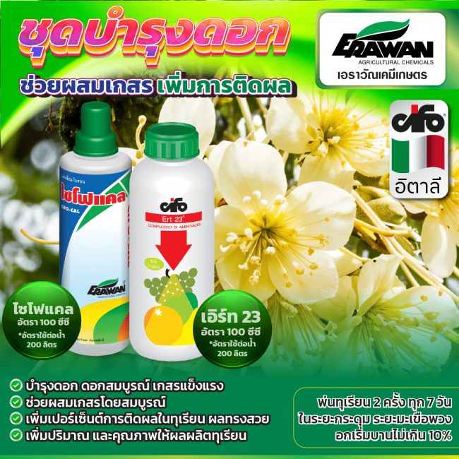 flower-care-set-Line-01