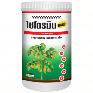 ไซโตรมิน พลัส