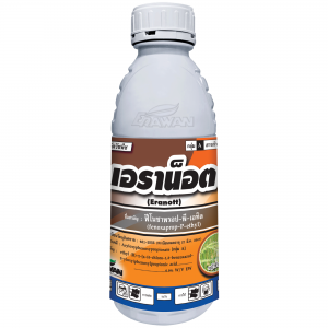 เอราน็อต