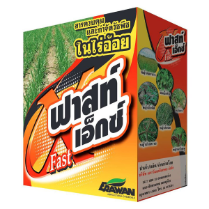 ฟาสท์เอ็กซ์