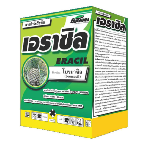 เอราซิล