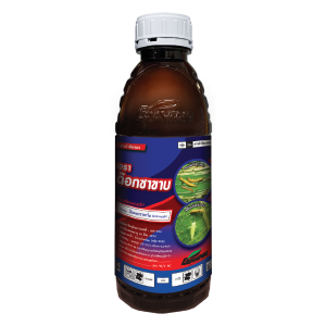 เอราด็อกซาขาบ