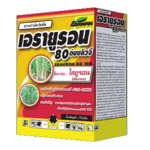 เอรายูรอน 80 ดับบลิวจี