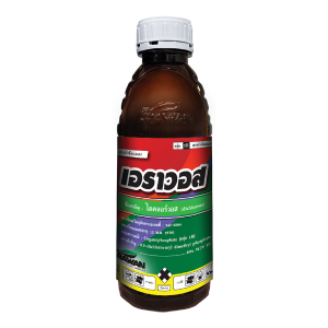 เอราวอส