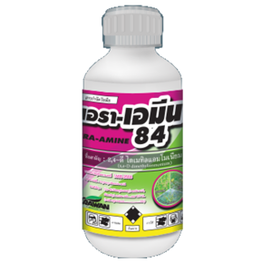 เอรา-เอมีน 84