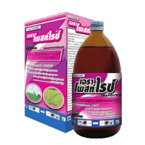 เอราโพสท์ไรซ์