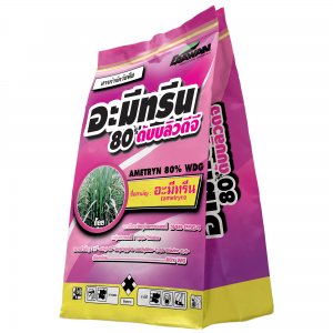 อะมีทรีน 80 ดับบลิวดีจี