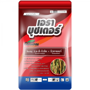 เอราบุชเตอร์