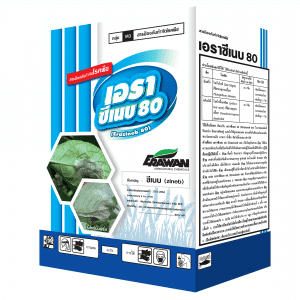 เอราซีเน็บ 80