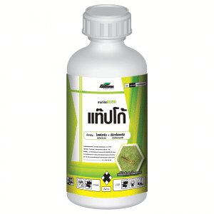 แท็ปโก้